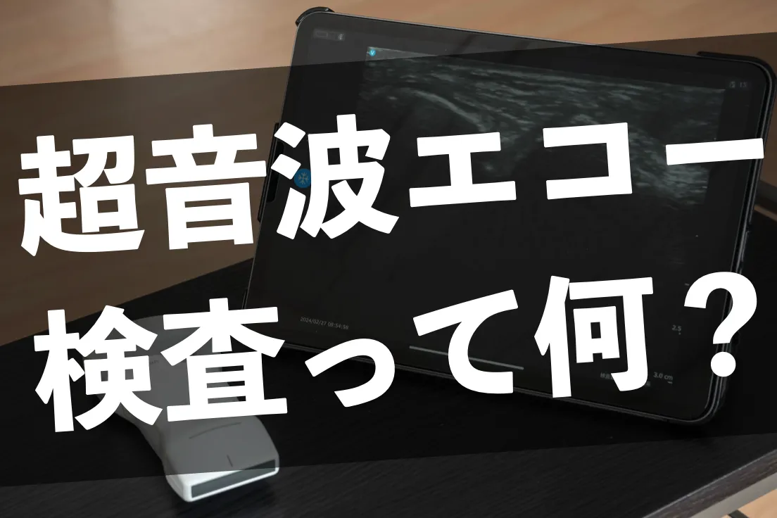 エコー観察ができる接骨院とは?豊田市でケガを正確に評価する方法